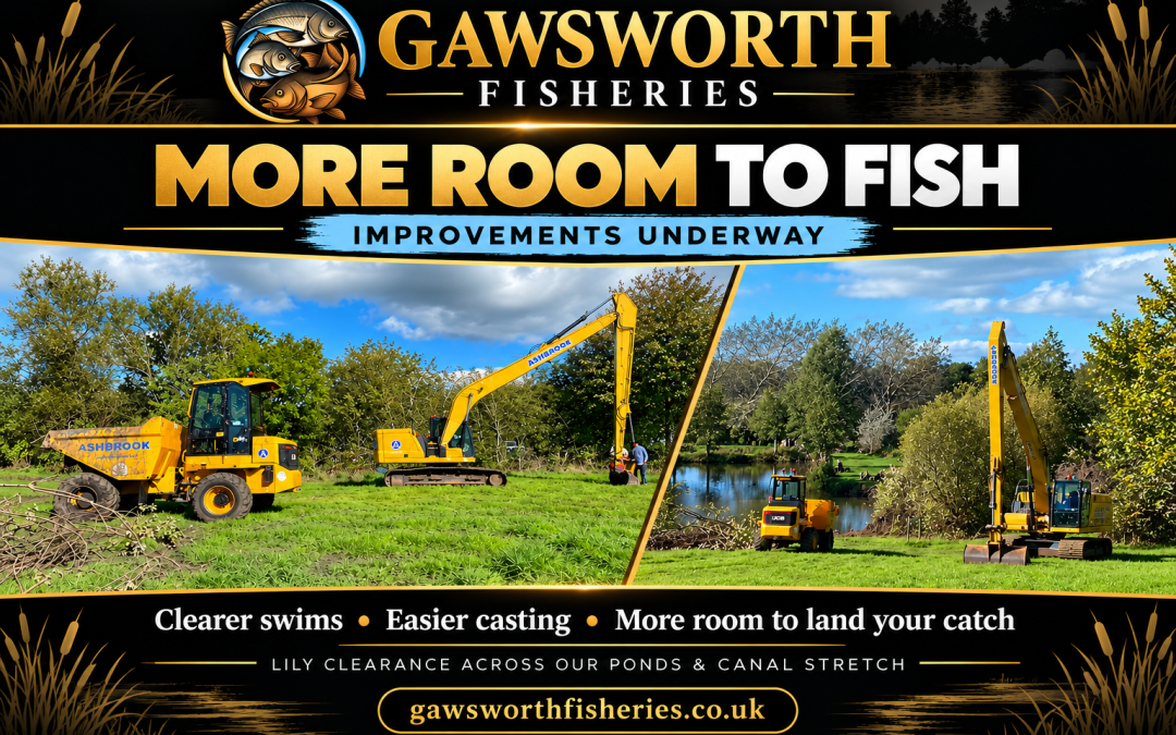 More-room-to-fish—lily-clearance-underway.png
